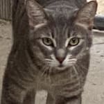 Manny keeps healthy with his meds!