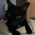 I am and have purchased his medicine from you.