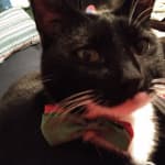 Good product and good price