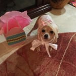 Great Product,  Best Price