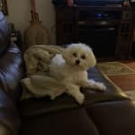 This product helps keep our little girl alive