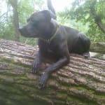 This medicine helped so much!