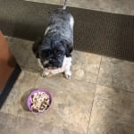 I will  keep buying this shampoo