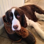 I would buy this over and over again.