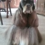 I will buy this product monthly