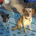 This has help her so far