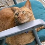 The BEST prices and quality products!