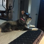 I will continue to get Busys medicine here