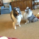 The meds help him stay active