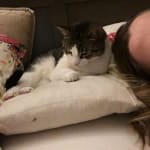 I won't use any other pet pharmacy