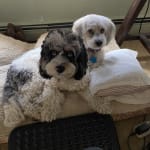 Woofables are wonderful!!