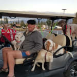 My doggies are thriving!