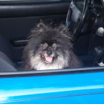 Works very well and easy to give.