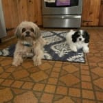 Medication Delivered Rapidly