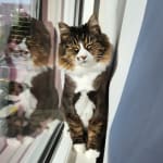 Happy with this supplement!