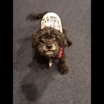 Keeps her gut healthy.