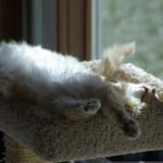 This is an excellent snack