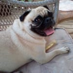 Glandex really helped with the bootie scootie business 😄