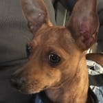 This medication is working.