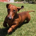 This Medication Battles Cystinuria