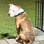 New Customer 1st order