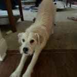 Probiotic Taken Daily