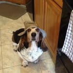 Great price & fast delivery!