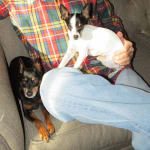 Great Product, Great Price!