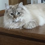 Available when she needs it!❤️