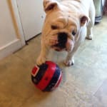 Quick delivery - good price