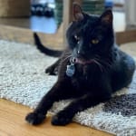 Great prices, awesome customer service