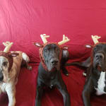 Best medication to keep on hand