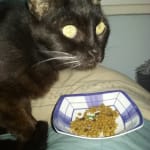 This stuff is really.....good!