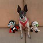 Wonderful medication!