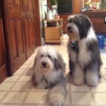 An exceptional product