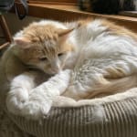 It's the most effective