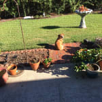 I have already bought two more boxes.