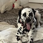 Common sense good service