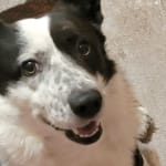 I suppose we're using it off-label