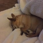 I will be buying again.