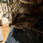 Very helpful medication