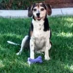 Great product at a great price!