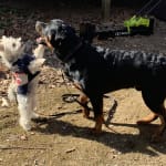 Worked as advertised