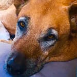 Can't tell yet if it's helping