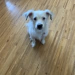 it really help lulu with her skin and it all clear up