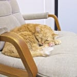 Addendum to my original review