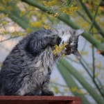 The Product Was Just What We Needed