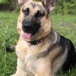 This medication helps!