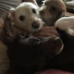 This product is great