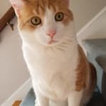 The Fortaflora is a game changer!